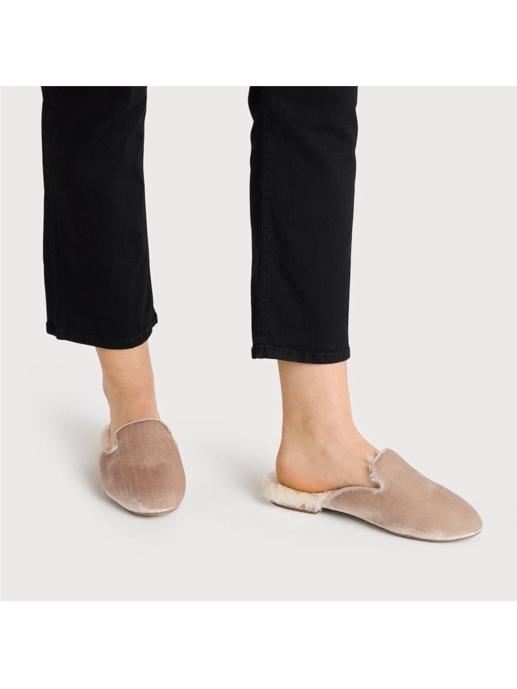 Birdies Phoebe Velvet Mules Size 9.5